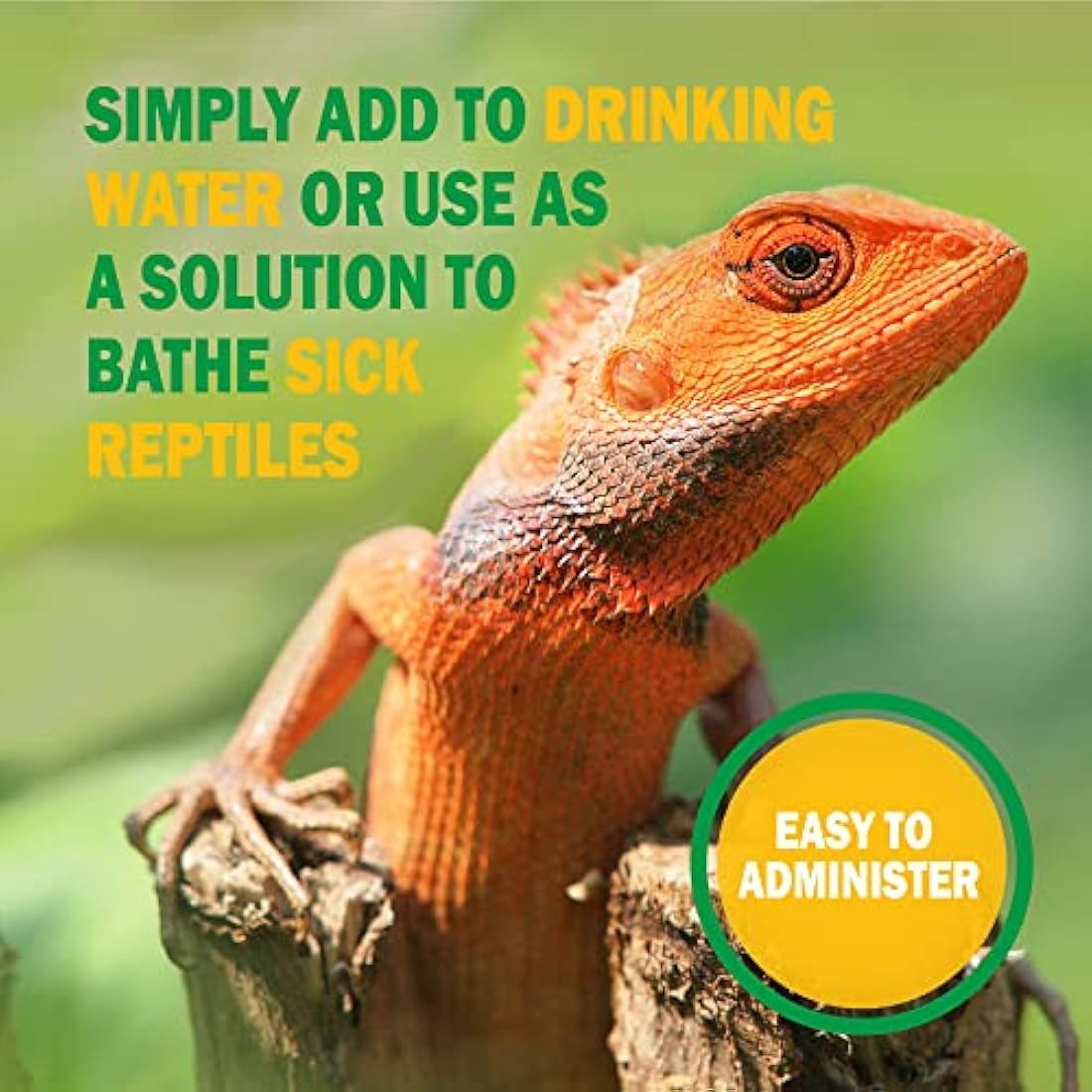 Vetark Reptoboost Probiotic & Electrolyte Supplement for Reptiles - 300g