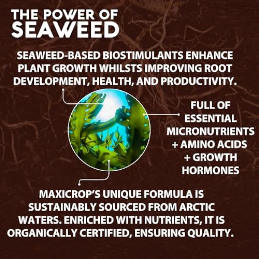 Maxicrop All Purpose Plant Growth Stimulant | Organic Seaweed – 2.5L