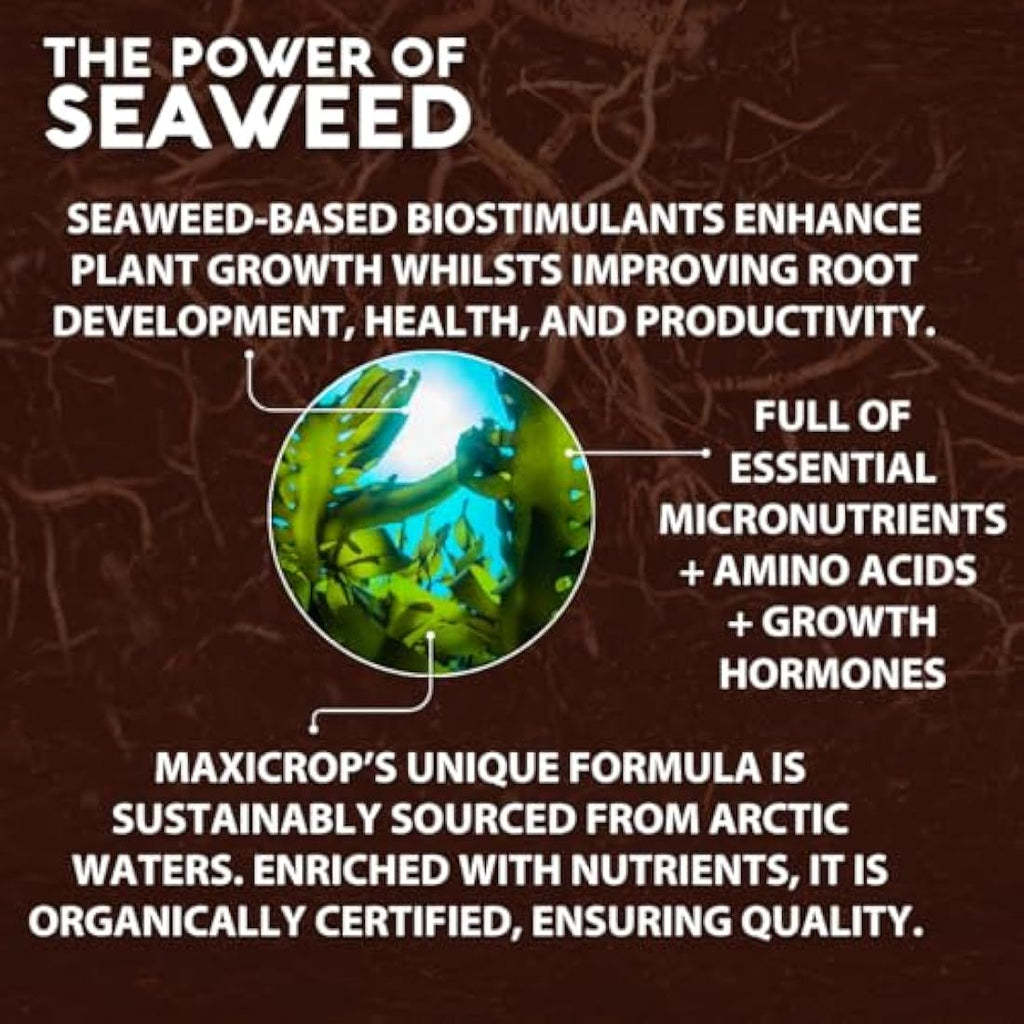 Maxicrop All Purpose Plant Growth Stimulant – 1L Organic Seaweed