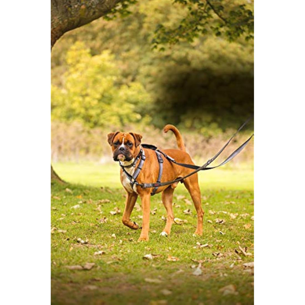 Halti Double-Ended Dog Lead | Reflective Neoprene Training Leash, Red, Small