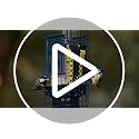 Jacobi Jayne Squirrel Buster Suet Feeder – Metal Squirrel Proof Design
