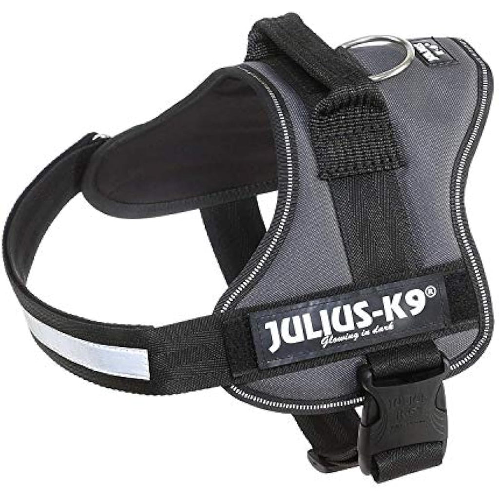 Julius-K9 Powerharness | Durable Reflective Dog Harness - Anthracite, M/0