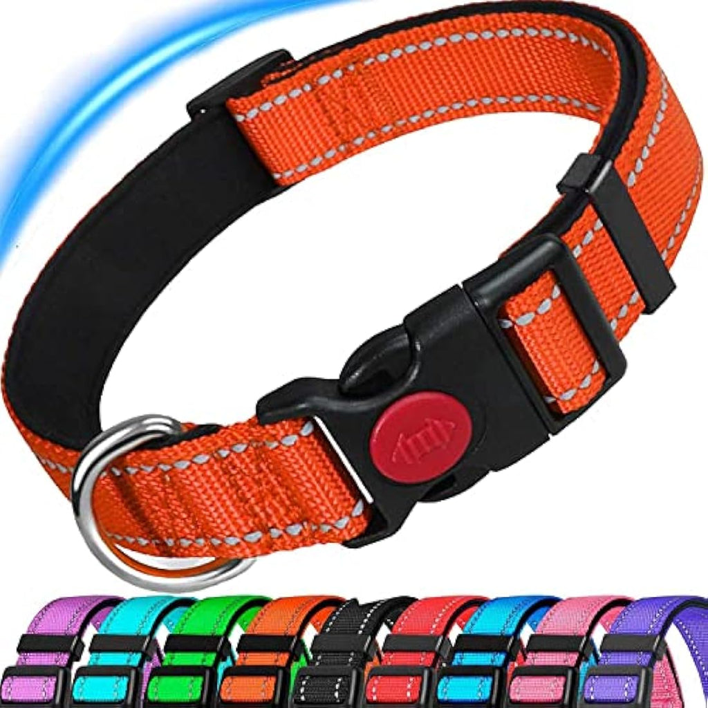 Reflective Nylon Dog Collar – Padded & Adjustable, Orange, Medium