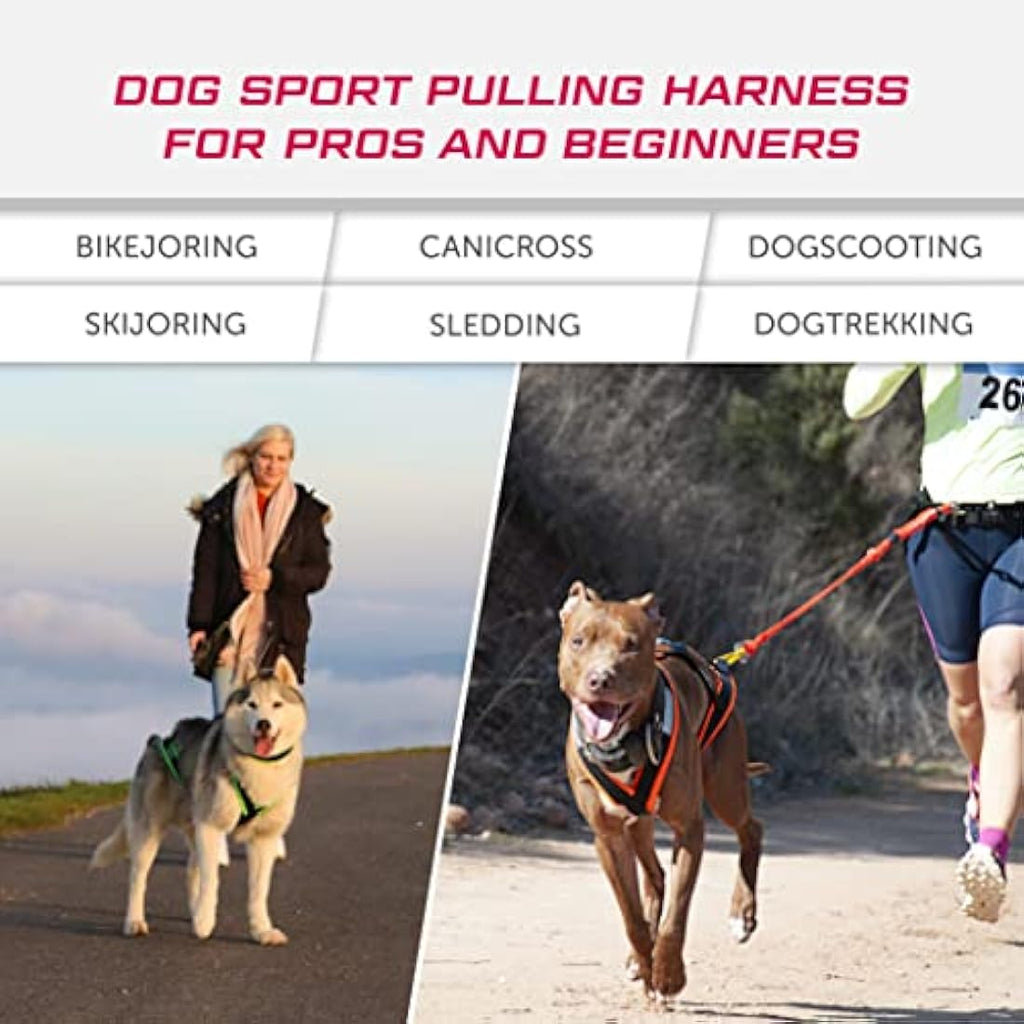 Lasaline X-Back Dog Pulling Harness for Canicross and Bikejoring