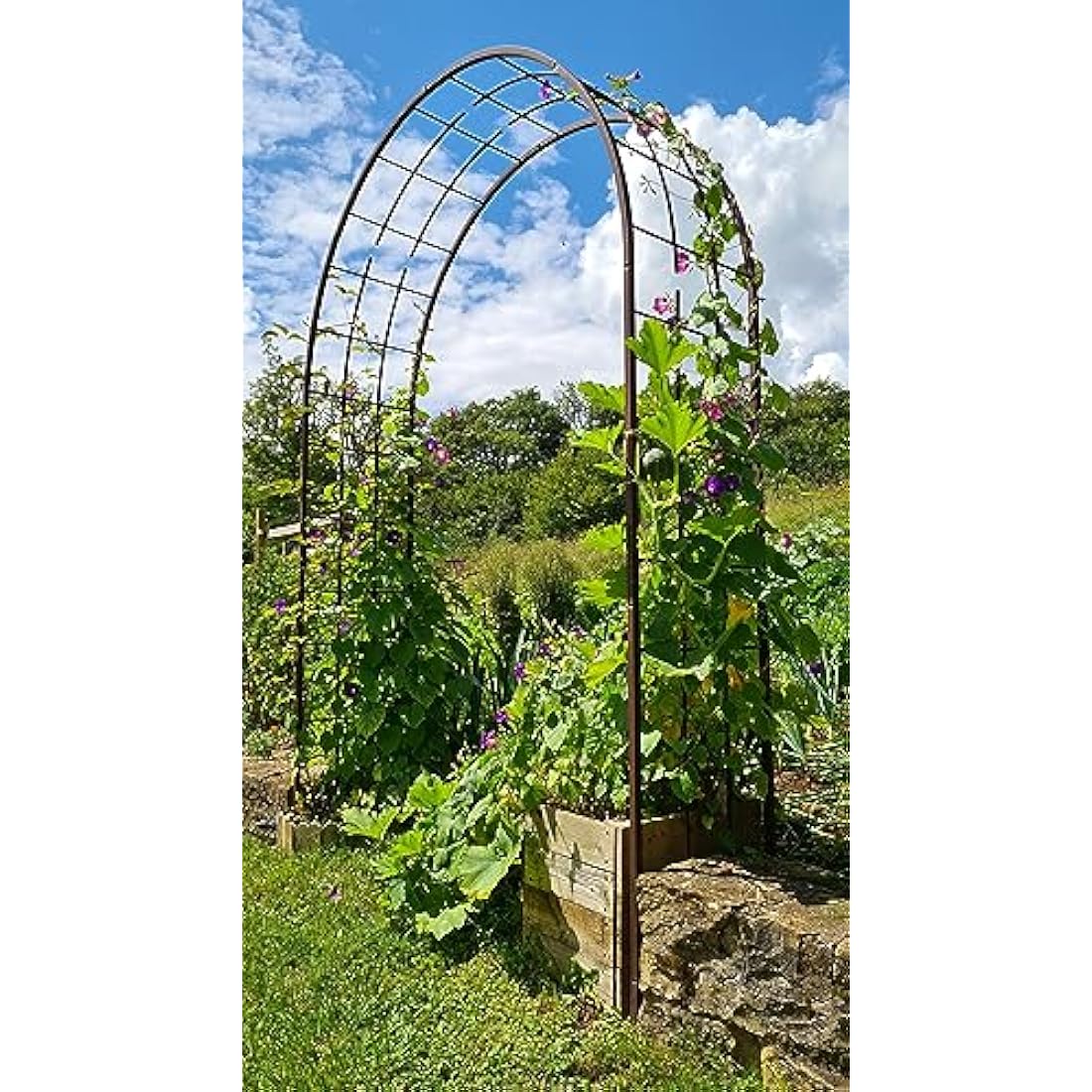 Louis Mill Metal Garden Arch for Climbing Plants - Antique Iron
