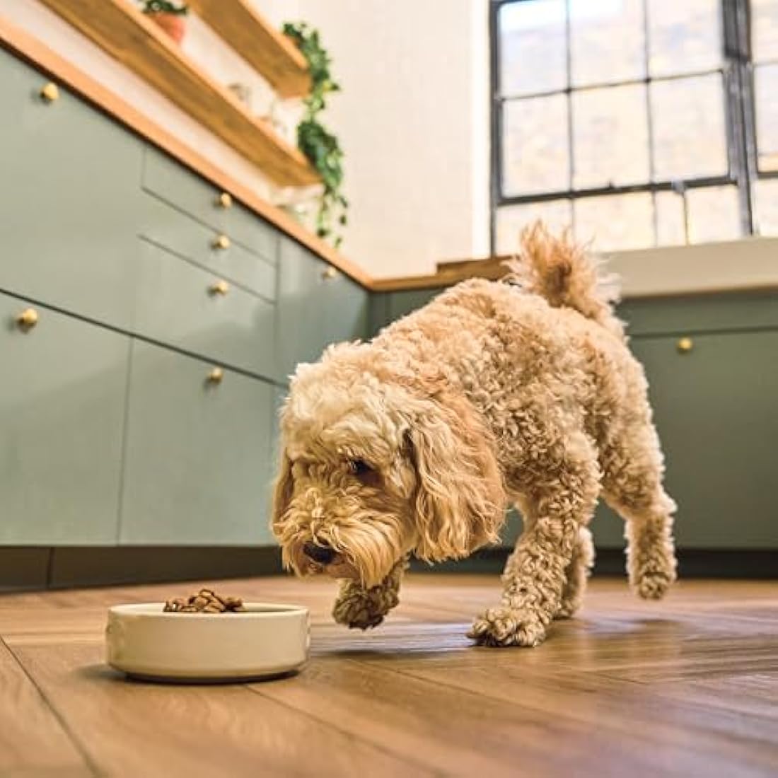 Lily’s Kitchen Beef Stew Dry Dog Food with Ancient Grains - 7kg