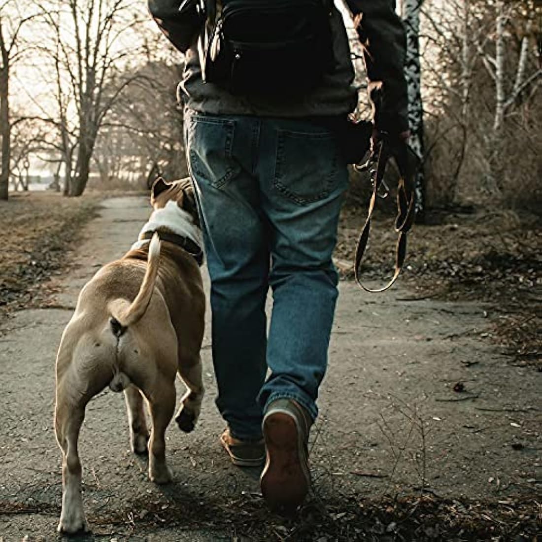 Double Ended Dog Training Lead | Durable Hands-Free Leash