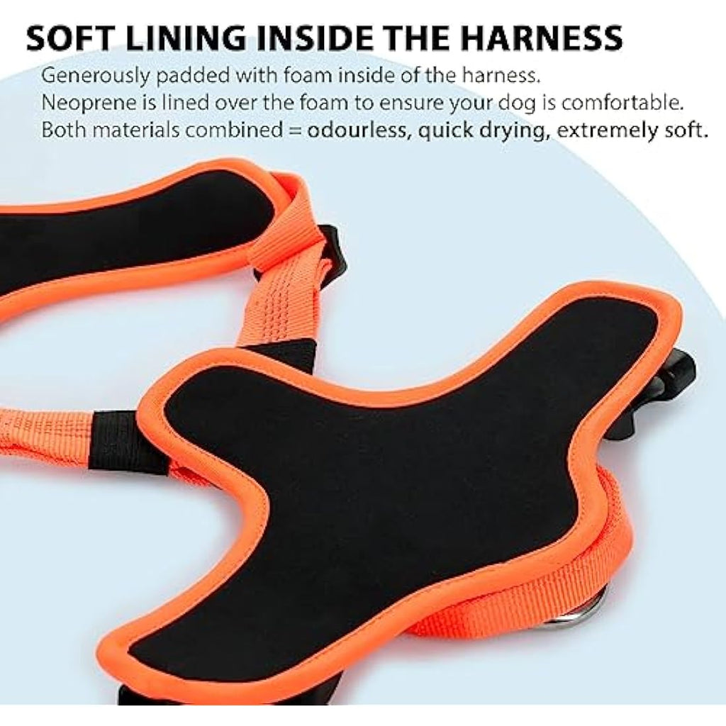 BullyBillows Active Light Dog Harness | Reflective Padded Orange | XLarge