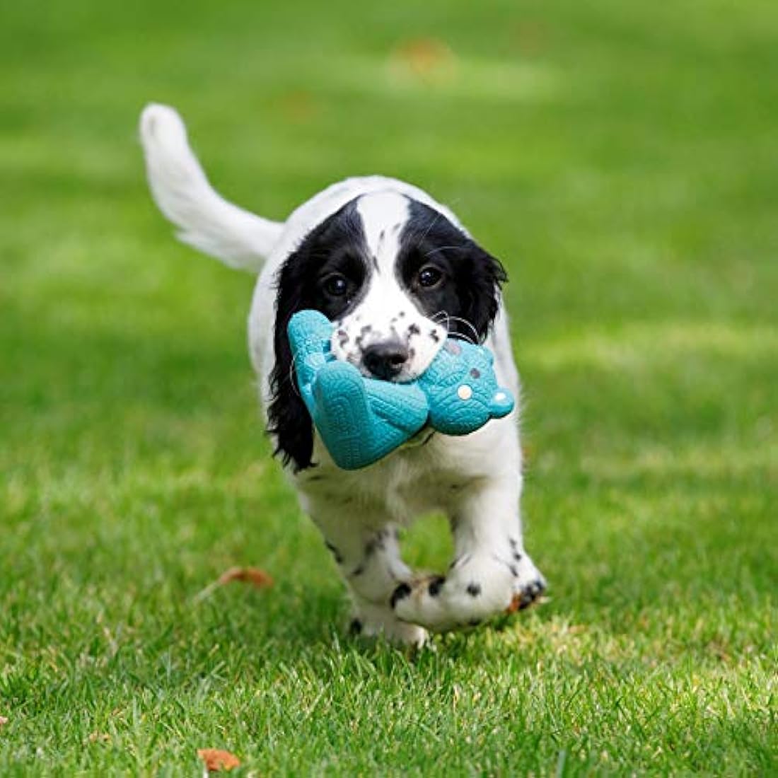 Petface Squeaky Latex Teddy Bear Puppy Toy – Durable Blue Chew Toy