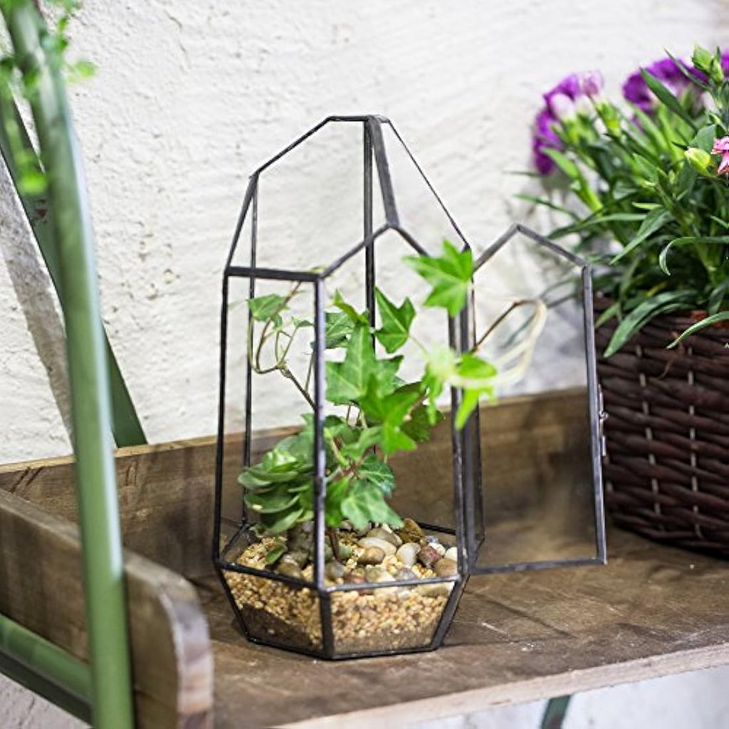 Geometric Glass Plant Terrarium – 22cm Modern Succulent Planter