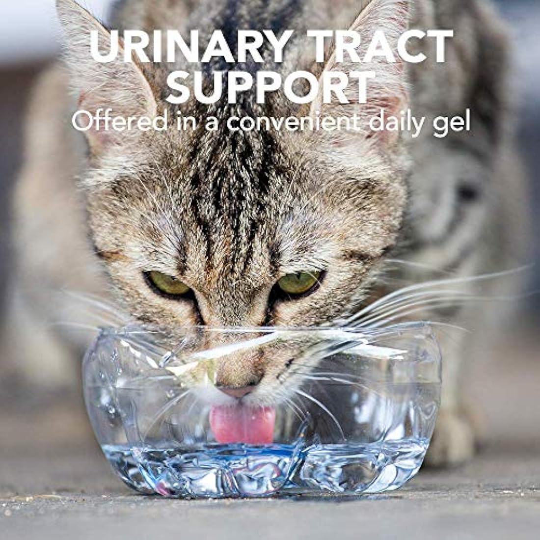 Vet's Best Feline Urinary Tract Support Gel – Chicken Flavor, 100g