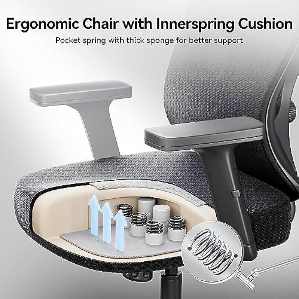 Hbada P5 Ergonomic Mesh Office Chair | Lumbar Support & Footrest