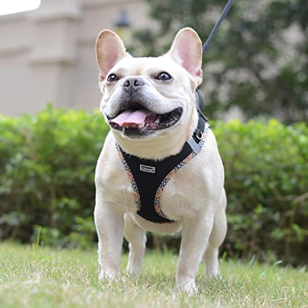 DORAMIO Step-in Dog Harness and Leash Set | Reflective Mesh Vest – XS