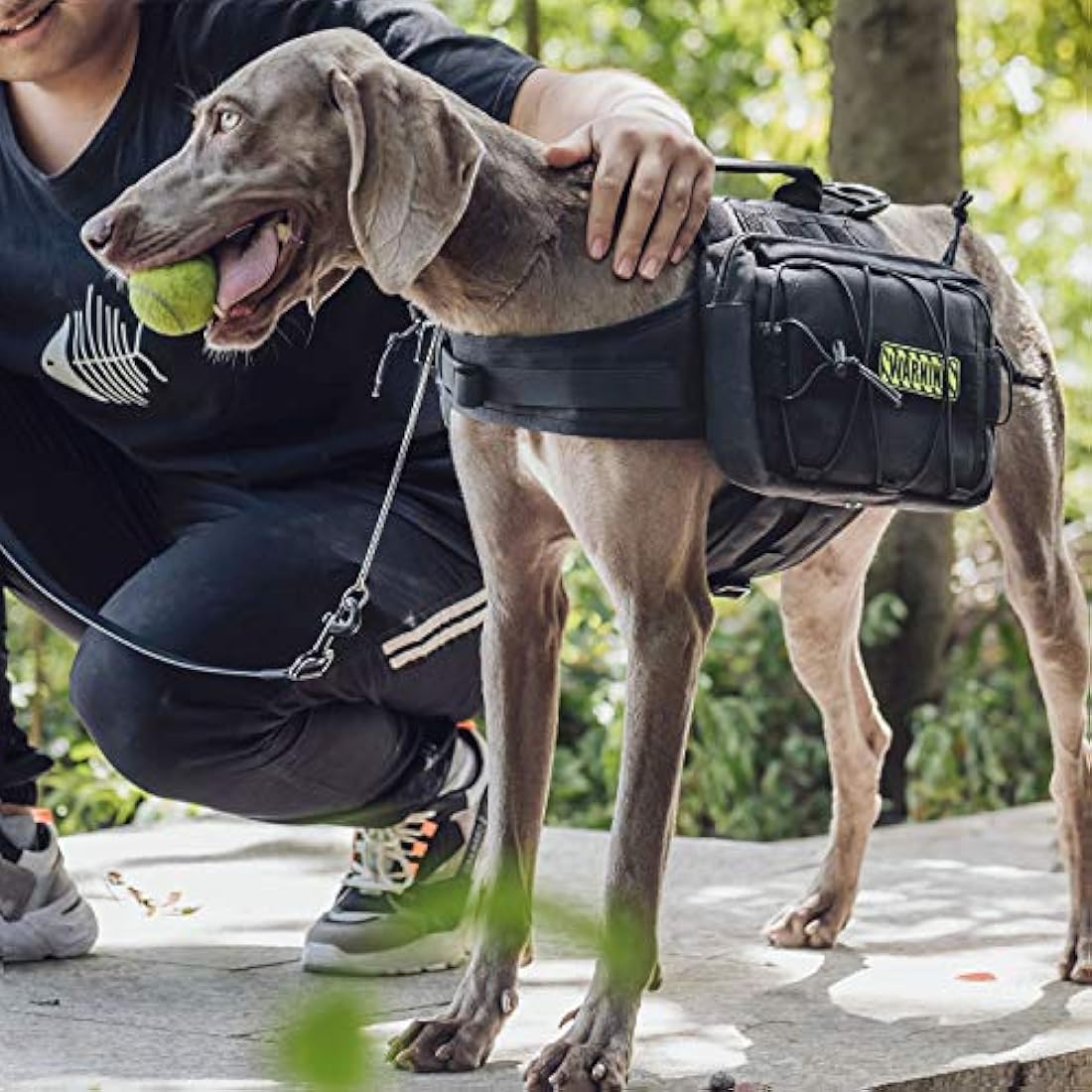 OneTigris Mammoth Dog Backpack 2.0 – Durable 1000D Nylon Hiking Pack