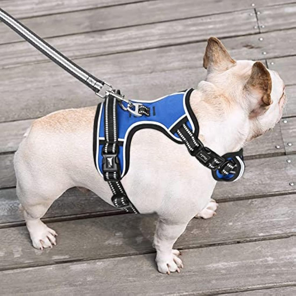HEELE No Pull Dog Harness | Reflective Padded Training Vest - Blue, M