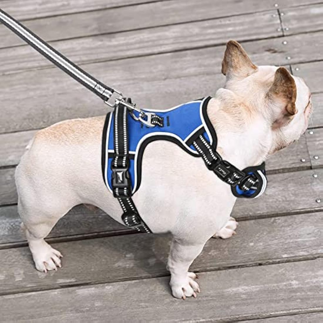 HEELE No Pull Dog Harness | Reflective Padded Training Vest - Blue, M