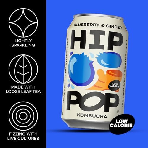 Hip Pop Blueberry & Ginger Kombucha | Vegan Gut Health Drink | 24 x 330ml