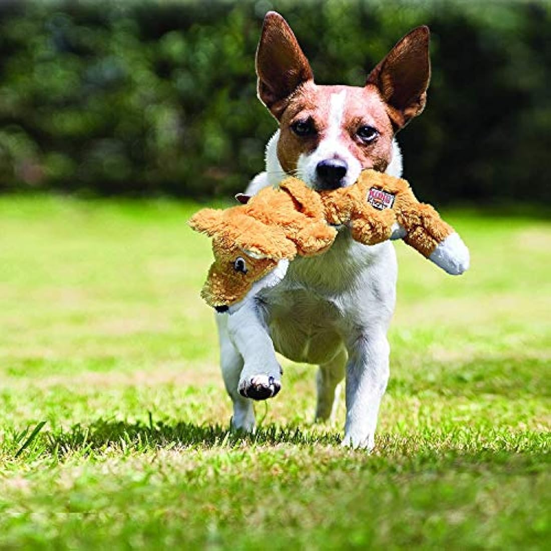 KONG Scrunch Knots Fox Dog Toy – Internal Knotted Rope & Stuffing-Free