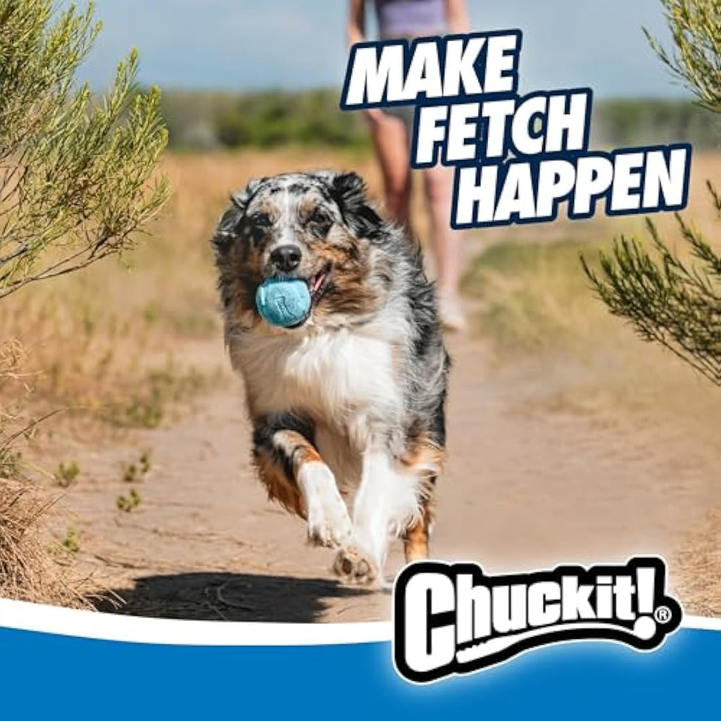 Chuckit! Rebounce Ball 2-Pack – Durable Rubber Fetch Dog Toy, Medium