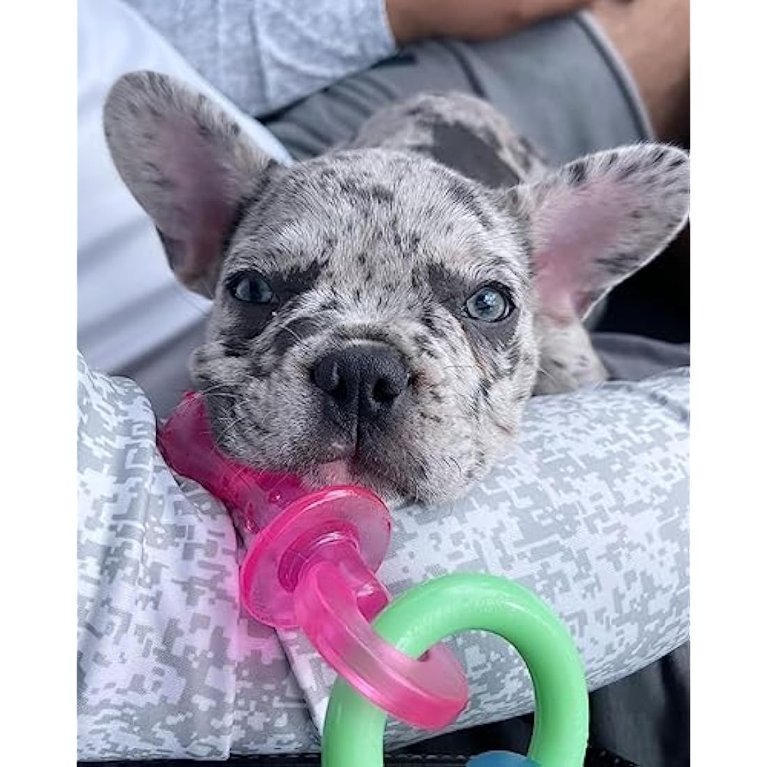 Nylabone Puppy Teething Chew Toy Pacifier | Bacon Flavor | Extra Small