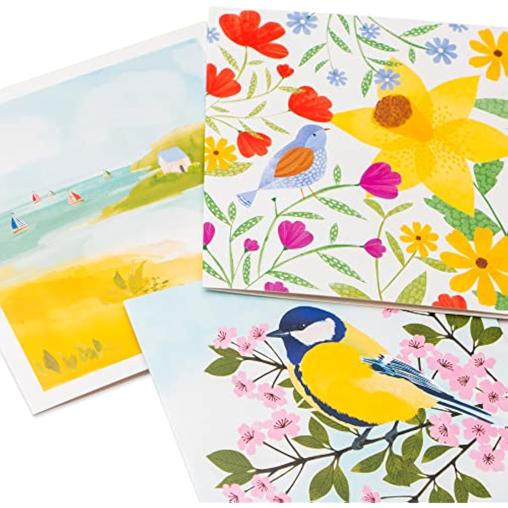 Jolof Store Marie Curie Charity Greeting Cards - 36 Pack Bundle