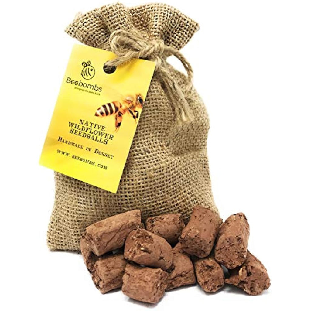 Beebombs Wildflower Seed Balls – UK Native Mix for Bees (21sqft)