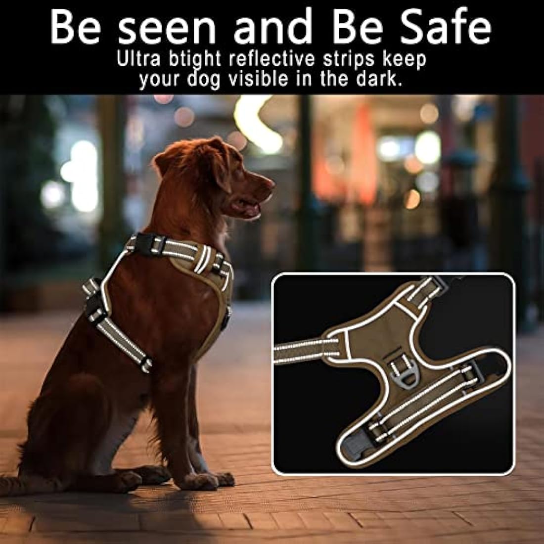 HEELE No Pull Dog Harness – Reflective Padded Vest with Neck Clip, Bronze