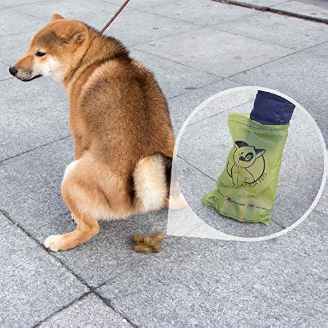 YORJA Biodegradable Dog Poo Bags | 720 Leak-Proof Extra Thick Waste Bags