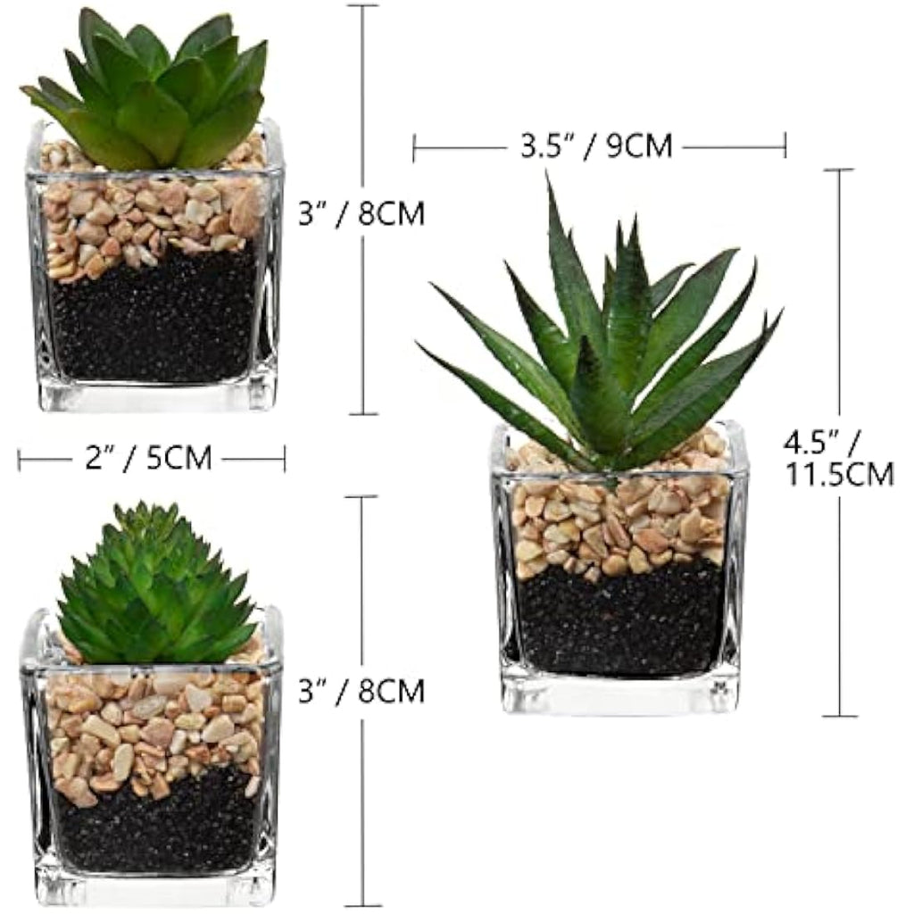 Briful Artificial Succulents - Set of 3 Faux Plants in Mini Glass Pots