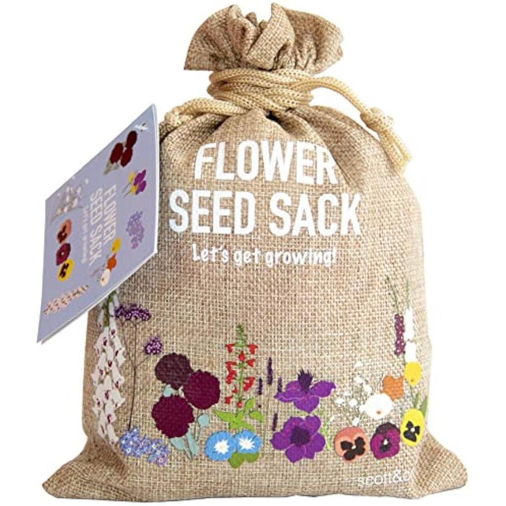 Scott&Co. Flower Seed Variety Pack | 30 Varieties for Bees & Butterflies