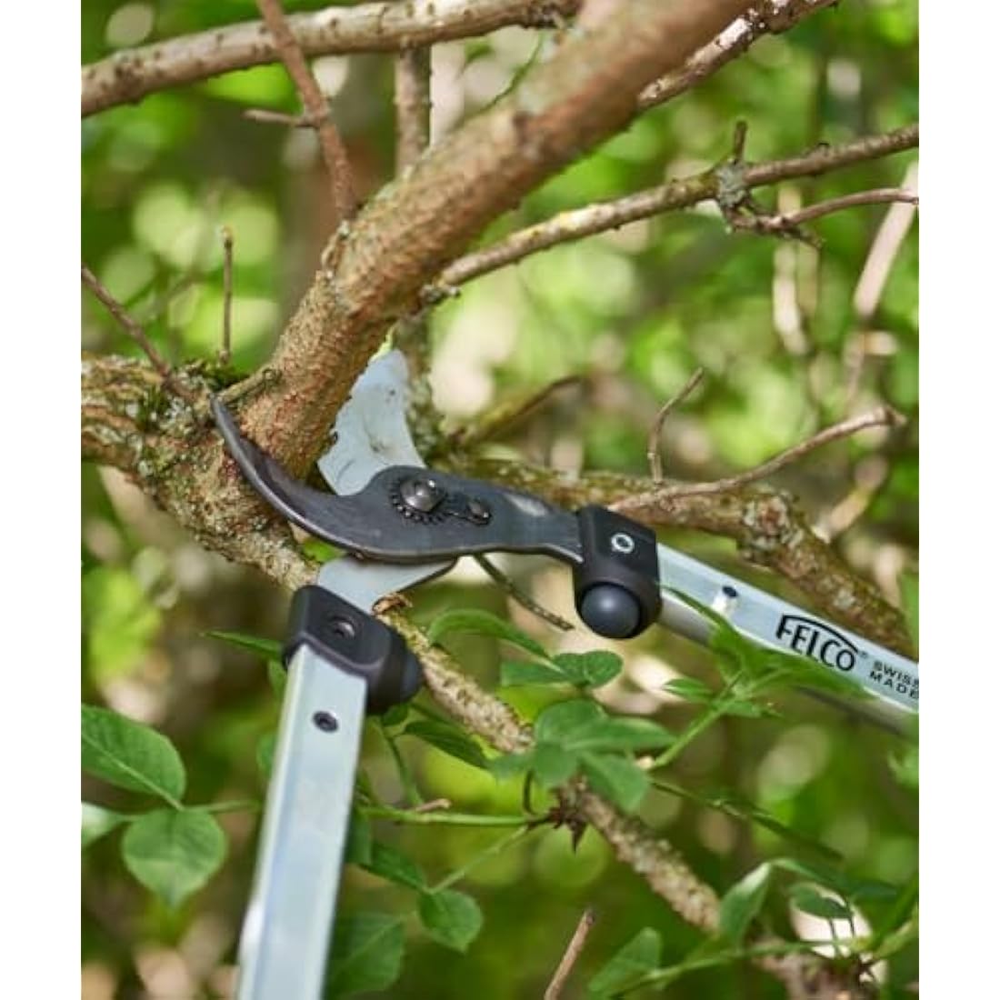 Felco 60cm Loppers – Professional Curved Cutting Head Bypass Shears