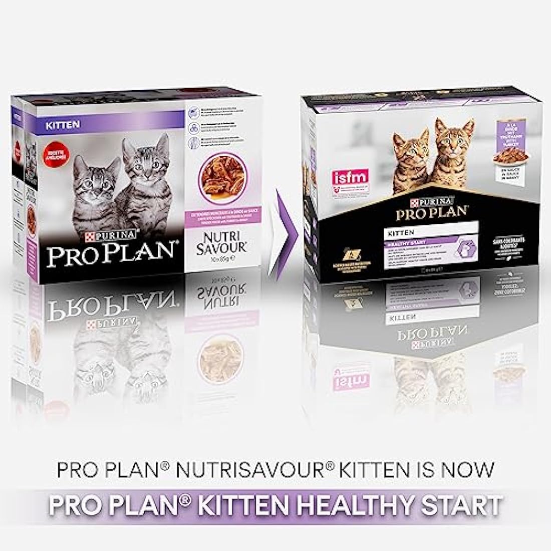 Purina Pro Plan Kitten Wet Cat Food – Turkey in Gravy 40 x 85g