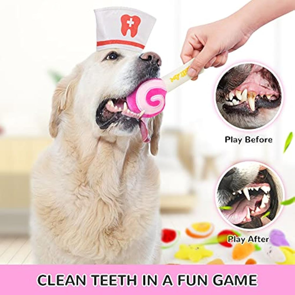 Legend Sandy 14-Pack Squeaky Plush Dog Toys for Small Puppies