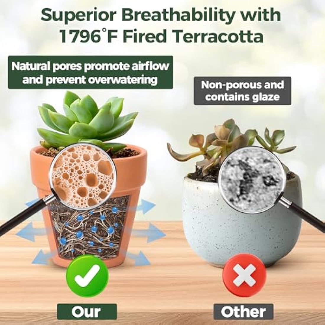 T4U Mini Terracotta Plant Pots - 12 Pcs Small Clay Pots for Succulents