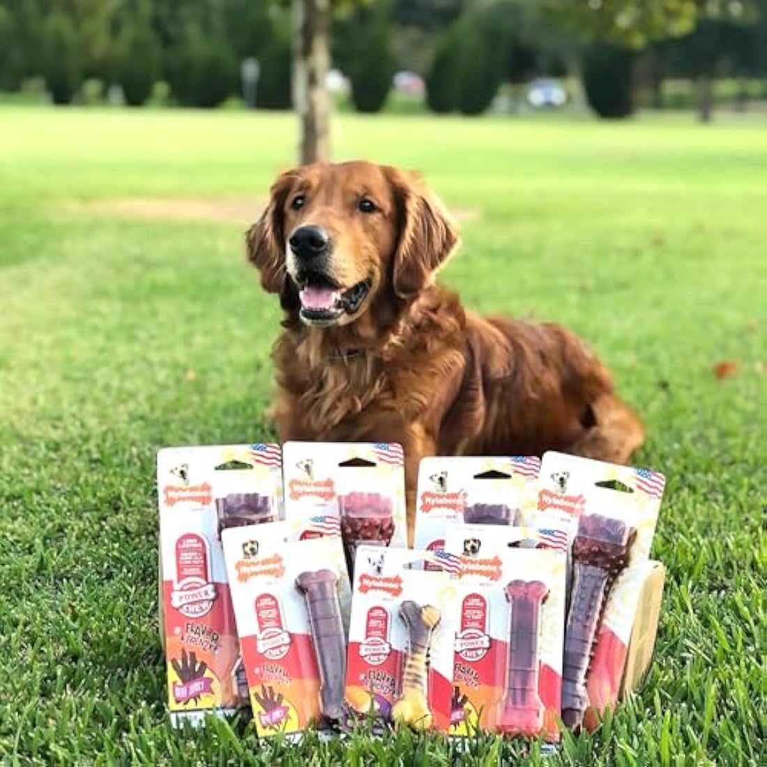 Nylabone Durable Dog Chew Toy – Beef Jerky Flavor Bone for Dogs Up to 16kg