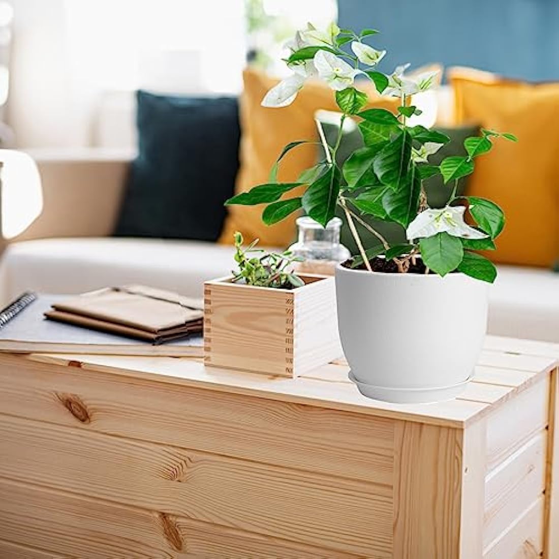 PROFIKLA Plastic Plant Pots with Drainage and Saucers - Set of 3, White