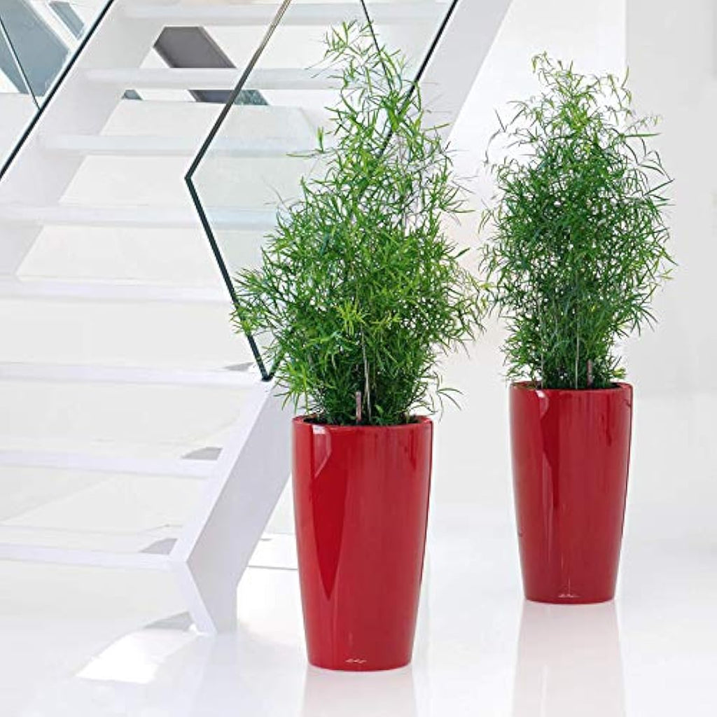Lechuza RONDO 32 Self-Watering Planter | Black High-Gloss Indoor Pot