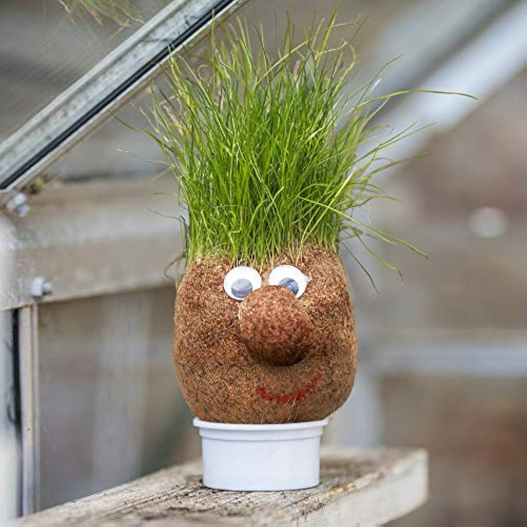 Tobar Mr Grasshead Novelty Growing Kit – Kids Educational Nature Toy
