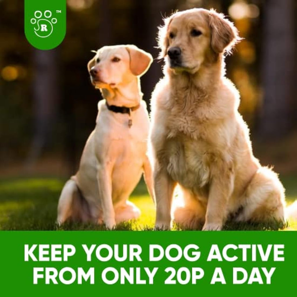 Jolof Store Dog Joint Supplement - Glucosamine & Green Lipped Mussel