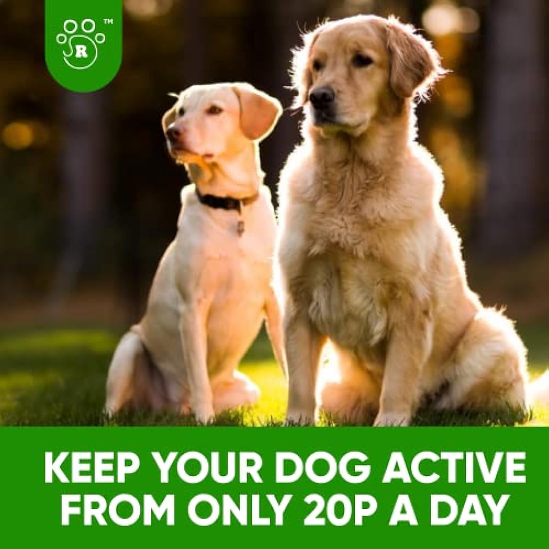Jolof Store Dog Joint Supplement - Glucosamine & Green Lipped Mussel