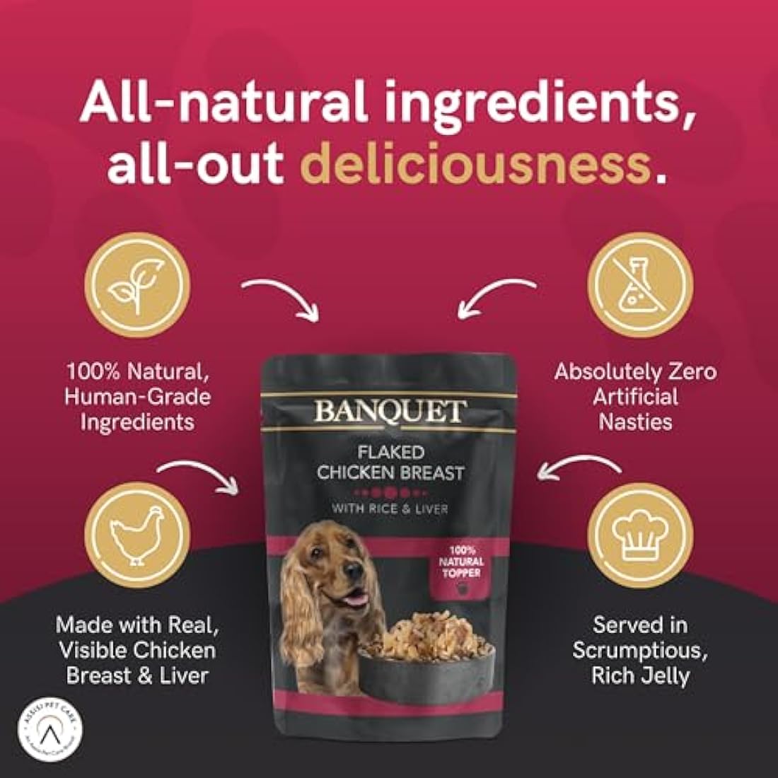 HiLife Banquet Natural Wet Dog Food - Chicken & Liver - 15 x 100g