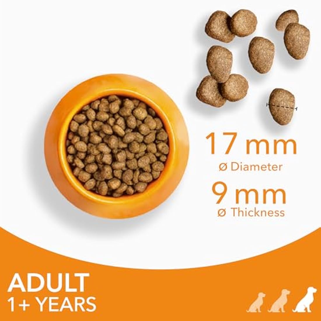 IAMS Adult Large Breed Dry Dog Food – Chicken & DentalCare – 12kg