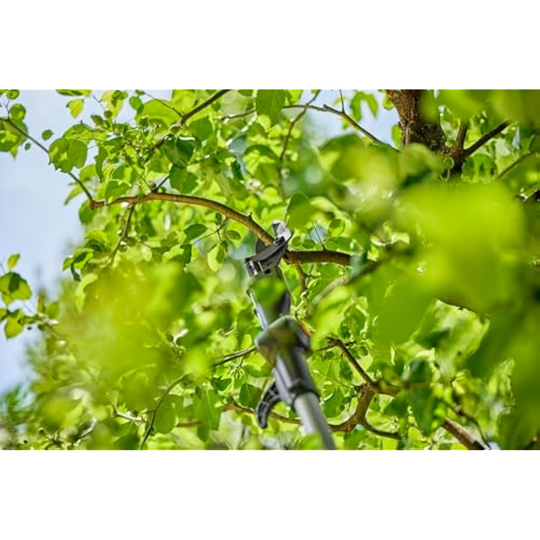 Gardena HighCut 250/18V P4A Cordless Telescopic Tree Pruner