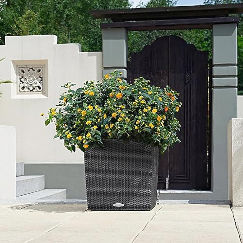 Lechuza CUBE Cottage 40 Self-Watering Planter - Rattan Look Granite