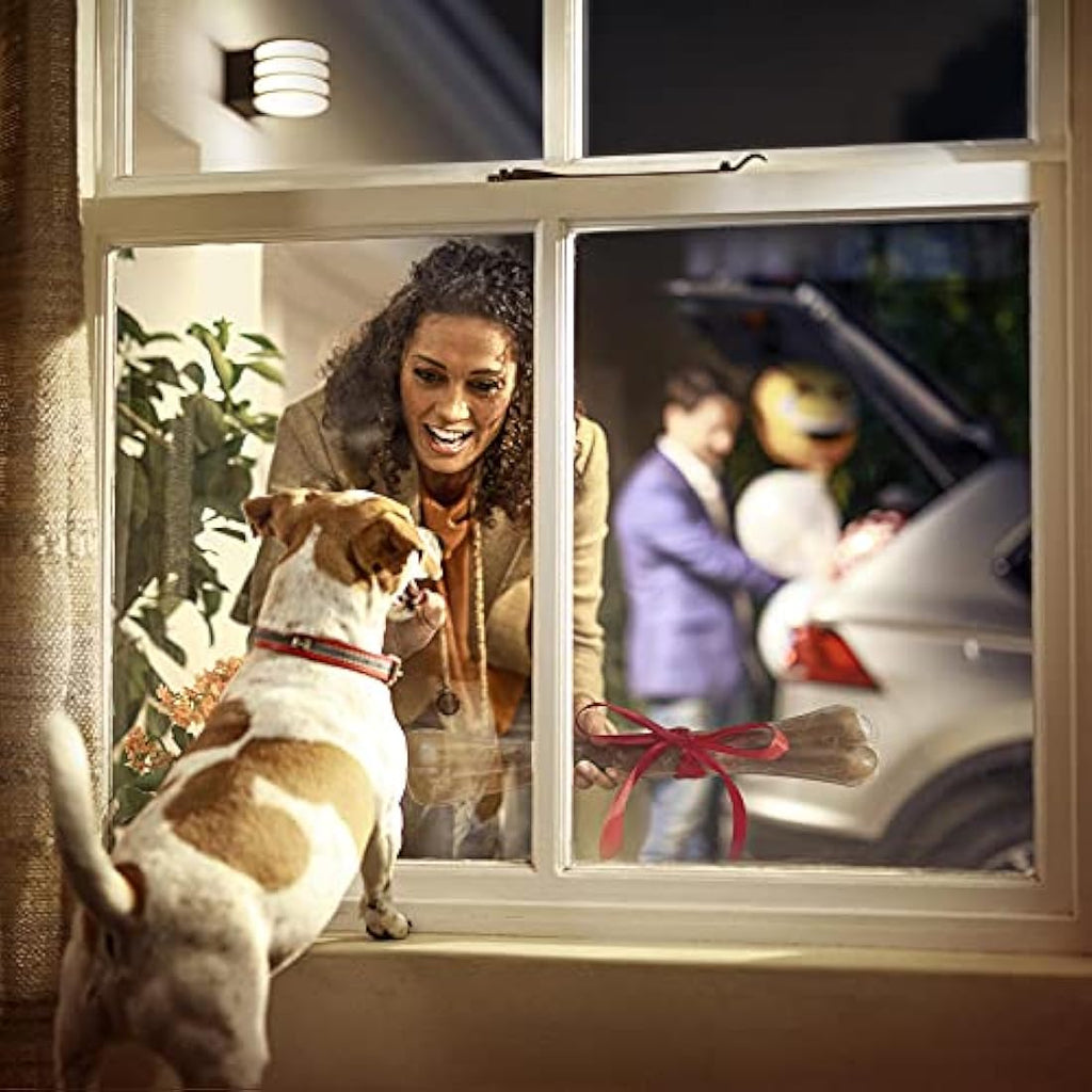 Philips Hue Lucca Outdoor Wall Light - Smart White LED Garden Lamp