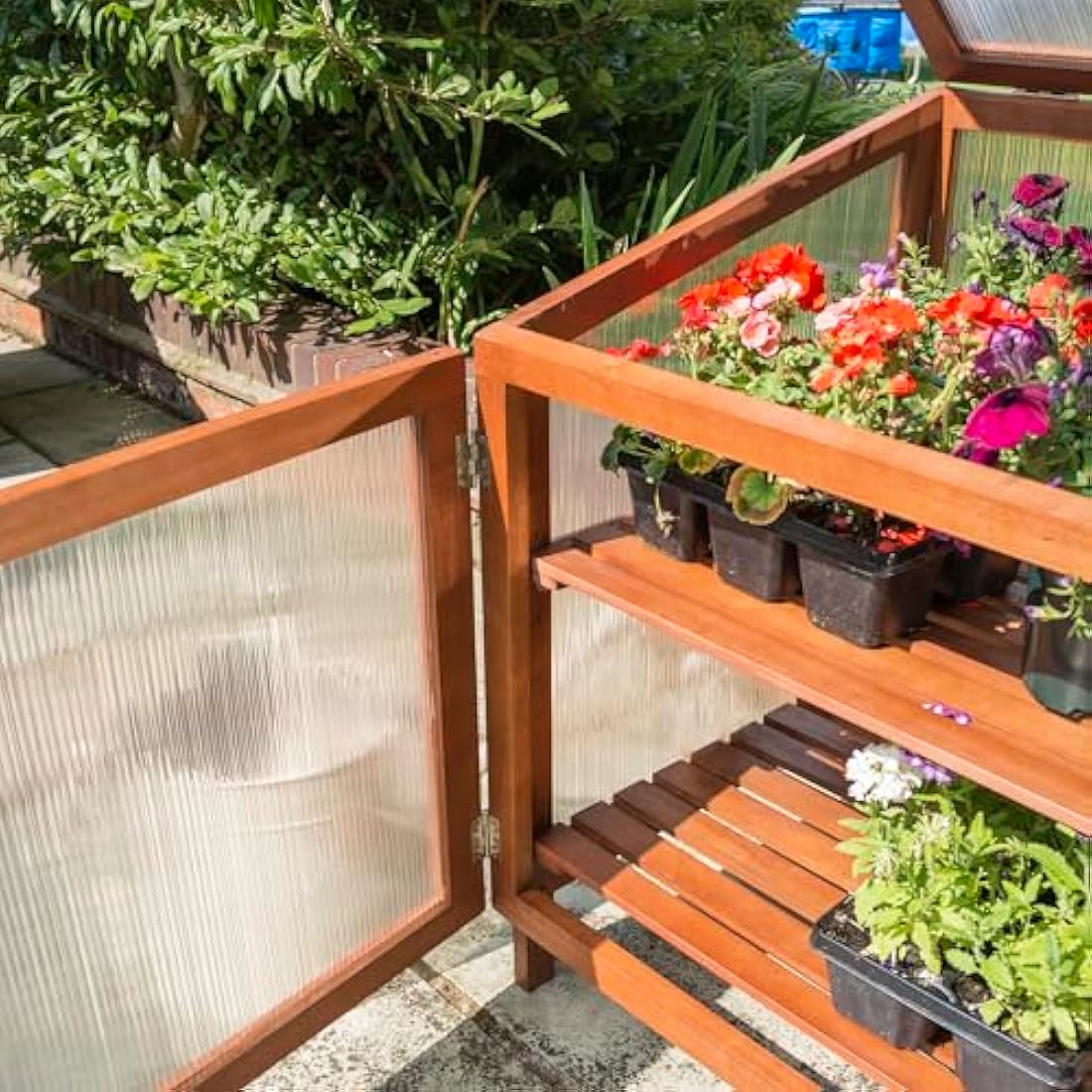 Rowlinson Hardwood Coldframe | Twin Walled Polycarbonate Garden Greenhouse