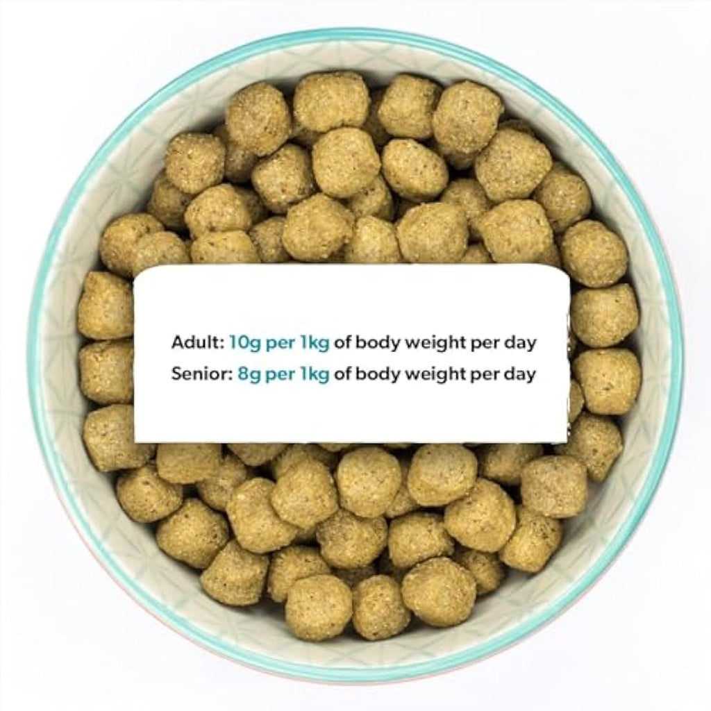 Burns Pet Nutrition Hypoallergenic Fish Dry Dog Food - Adult & Senior 6kg