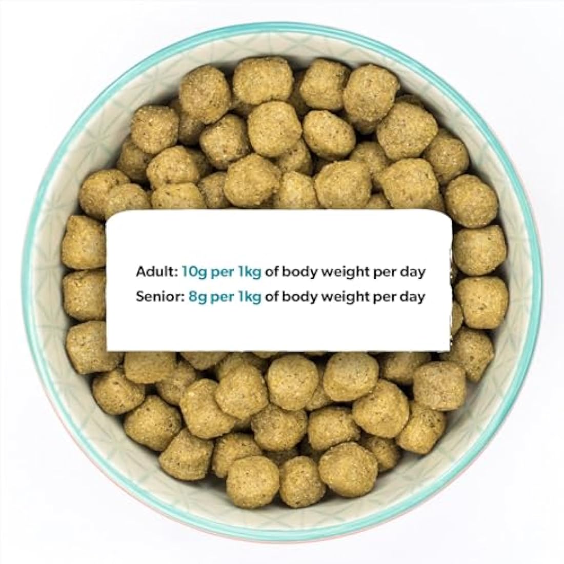 Burns Pet Nutrition Hypoallergenic Fish Dry Dog Food - Adult & Senior 6kg