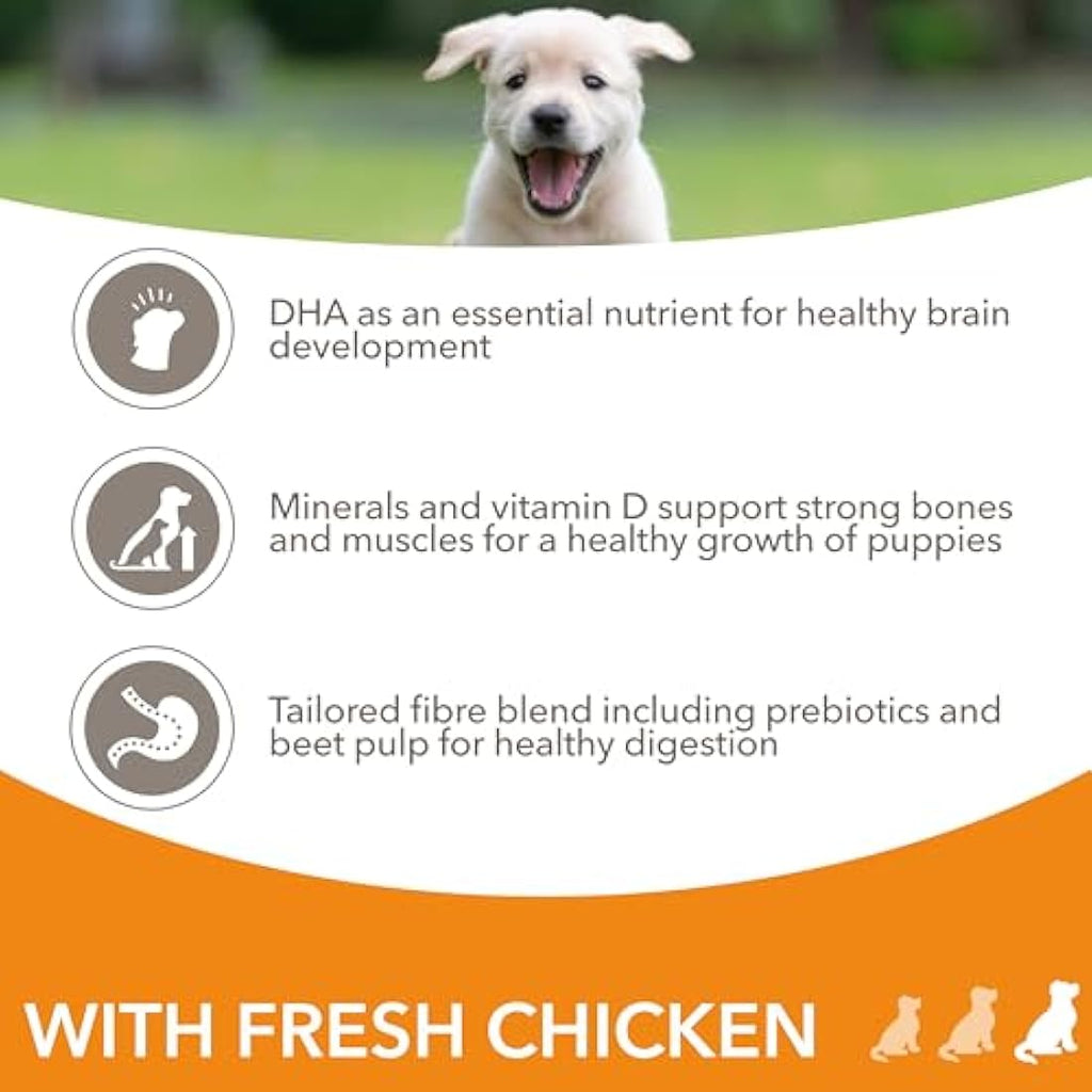 IAMS Large Breed Puppy Dry Dog Food - Chicken Recipe, 12kg Bag
