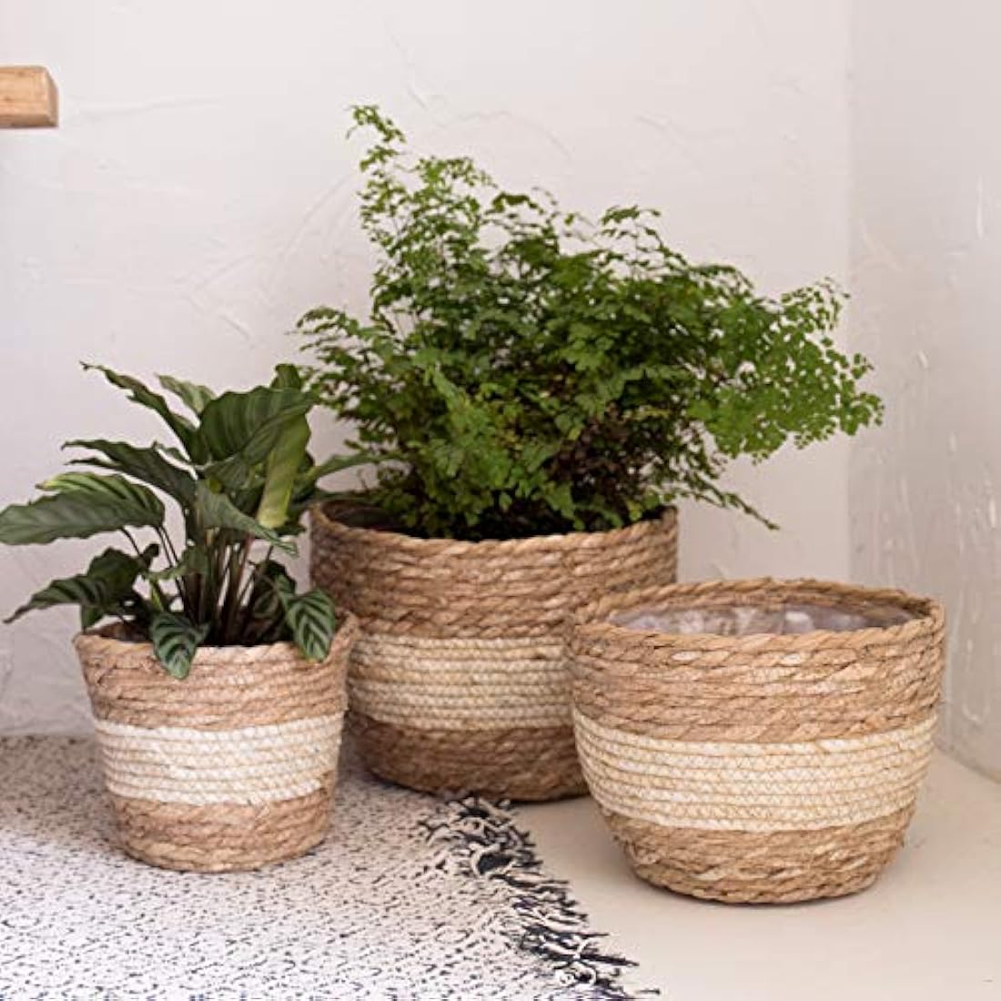 La Jolíe Muse Seagrass Planter Basket - Handwoven Indoor Pots, 3-Pack